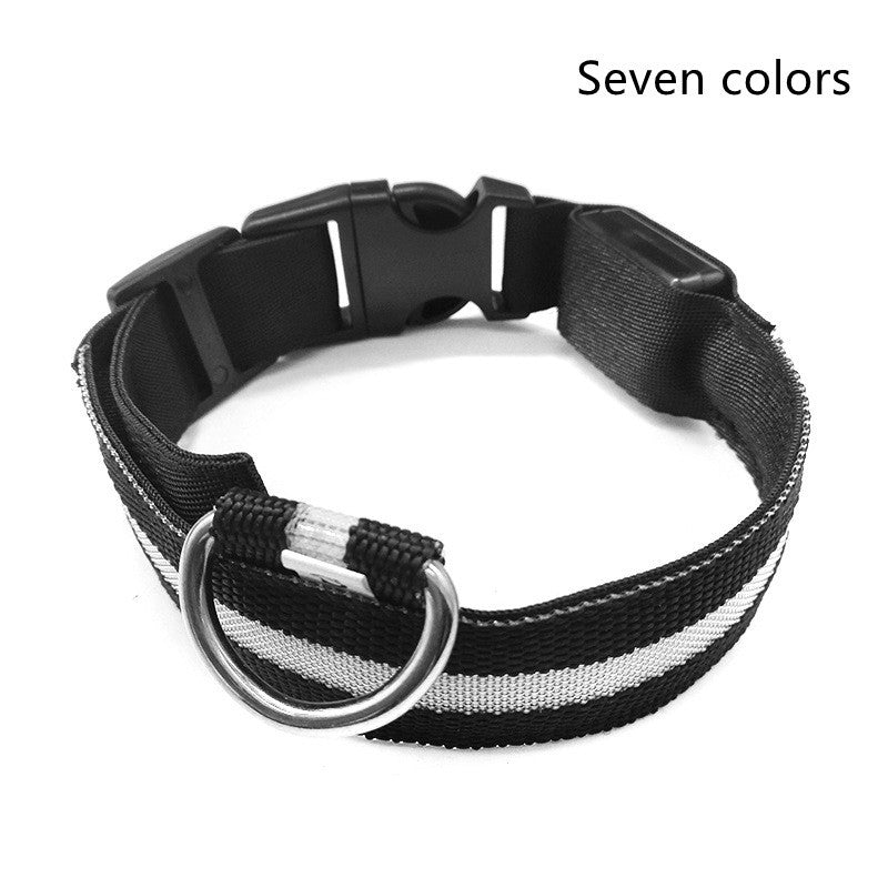 Nylon LED Pet Dog Luminous Collar Night Safety Flashing Glow in Dark Dog Cat Leash Adjustable Pet Supplies - Health and Wellness Innovations