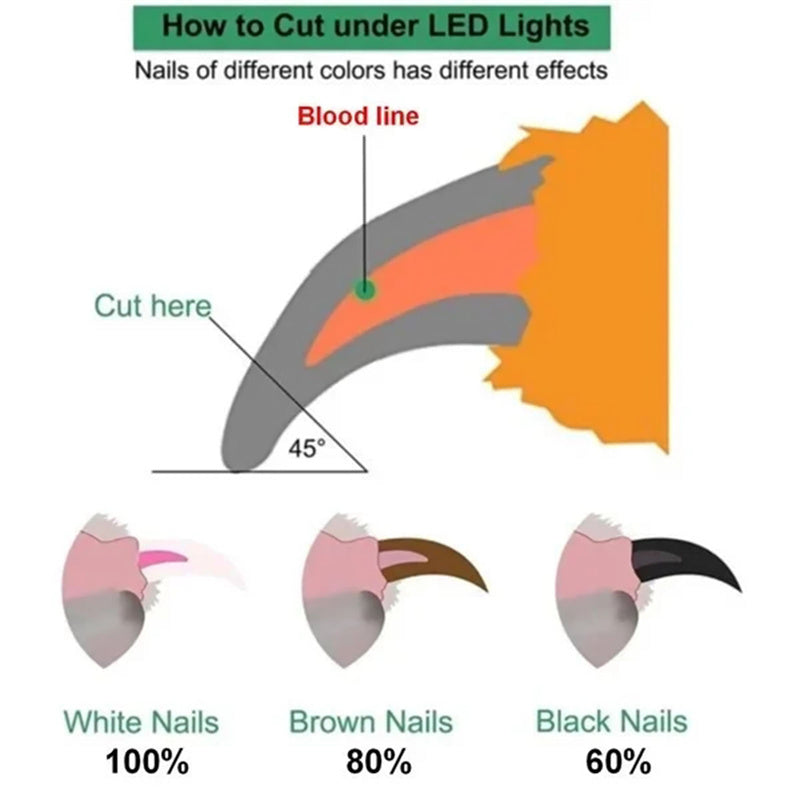 Pet Nail Clippers With LED Light Dogs Cat Nail Scissors Professional Trimmer Tool Care Grooming Supplies - Health and Wellness Innovations