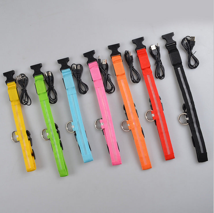 Nylon LED Pet Dog Luminous Collar Night Safety Flashing Glow in Dark Dog Cat Leash Adjustable Pet Supplies - Health and Wellness Innovations