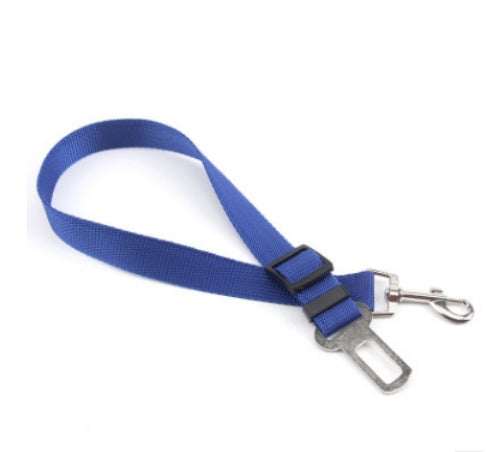 Fixed Strap Polyester Dog Strap Dog Leash Dog Leash - Health and Wellness Innovations