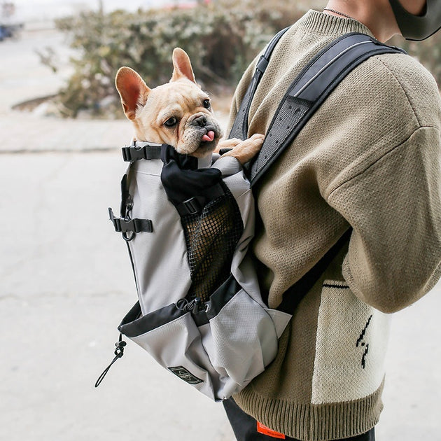 Pet Dog Carrier Bag Carrier For Dogs Backpack Out Double Shoulder Portable Travel Backpack Outdoor Dog Carrier Bag Travel - Health and Wellness Innovations
