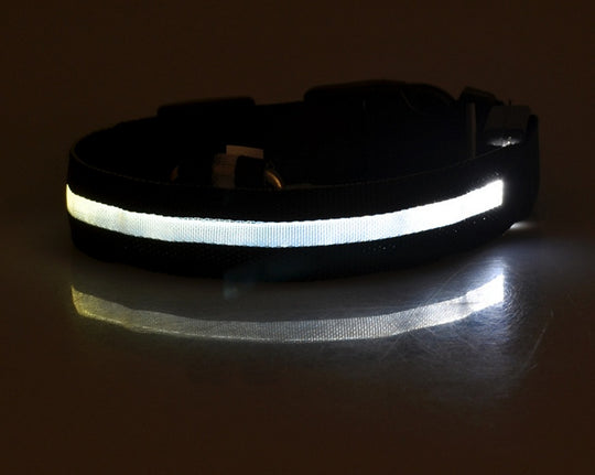 Nylon LED Pet Dog Luminous Collar Night Safety Flashing Glow in Dark Dog Cat Leash Adjustable Pet Supplies - Health and Wellness Innovations