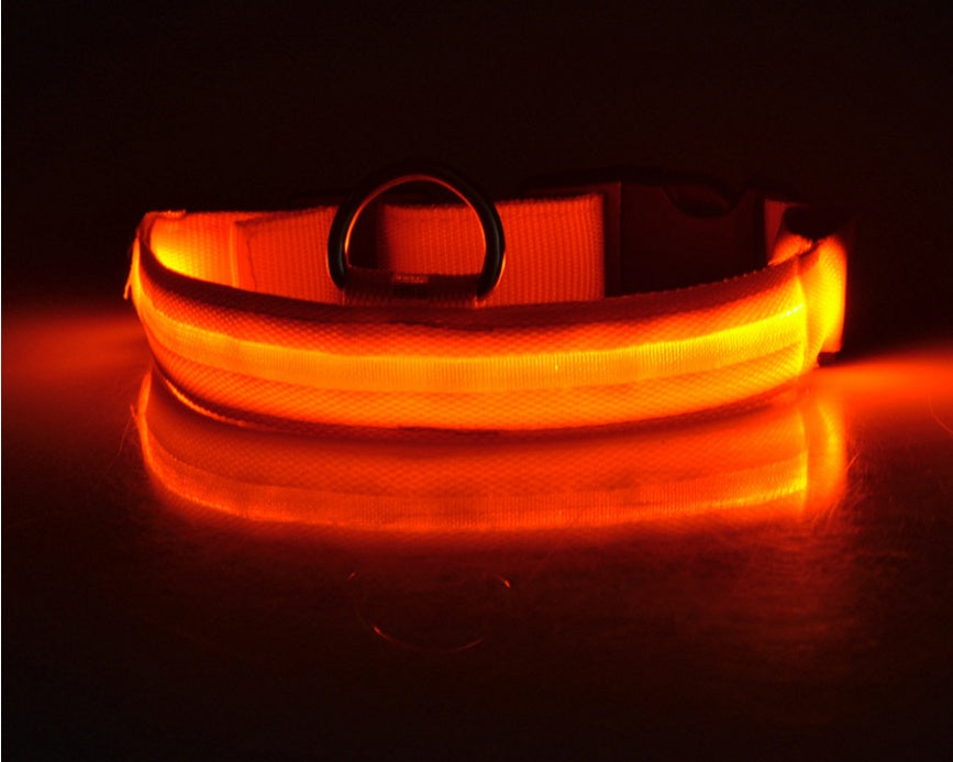 Nylon LED Pet Dog Luminous Collar Night Safety Flashing Glow in Dark Dog Cat Leash Adjustable Pet Supplies - Health and Wellness Innovations