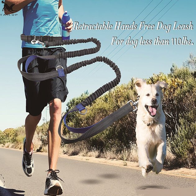Amazon direct pet supplies multi-function running reflective pull dog leash double elastic dog leash traction - Health and Wellness Innovations