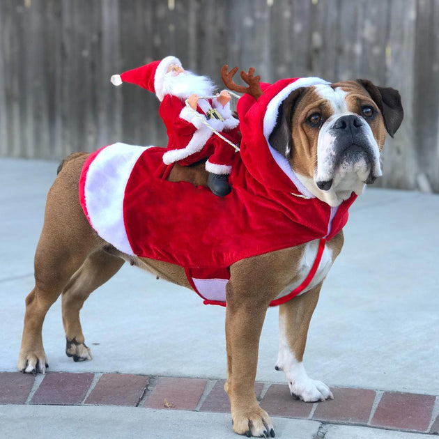 Dog Christmas Clothes Santa Claus Riding Deer - Health and Wellness Innovations