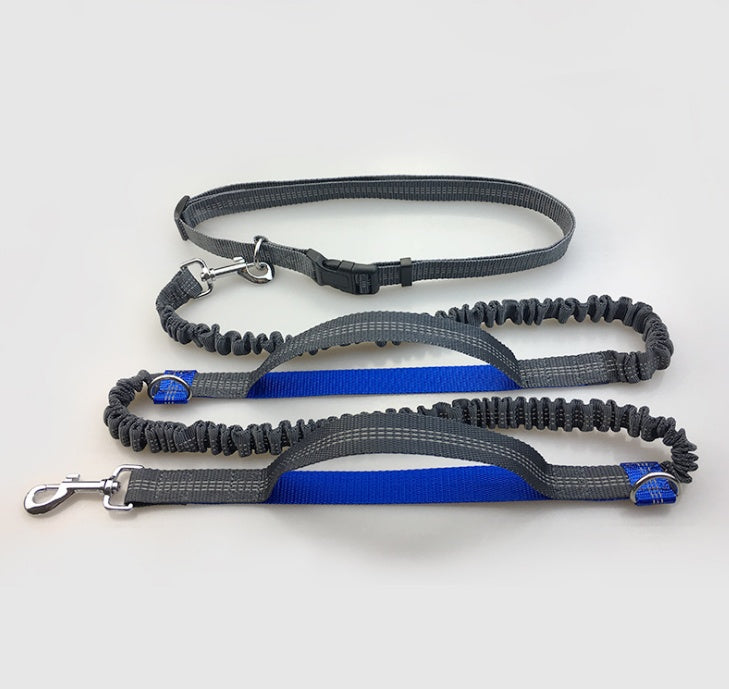 Amazon direct pet supplies multi-function running reflective pull dog leash double elastic dog leash traction - Health and Wellness Innovations