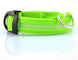 Nylon LED Pet Dog Luminous Collar Night Safety Flashing Glow in Dark Dog Cat Leash Adjustable Pet Supplies - Health and Wellness Innovations