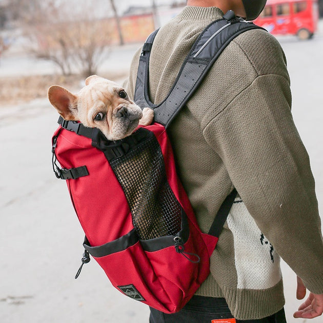 Pet Dog Carrier Bag Carrier For Dogs Backpack Out Double Shoulder Portable Travel Backpack Outdoor Dog Carrier Bag Travel - Health and Wellness Innovations