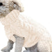New Pet Sweater Dog Clothes Pet Supplier Winter Warm Clothing - Health and Wellness Innovations