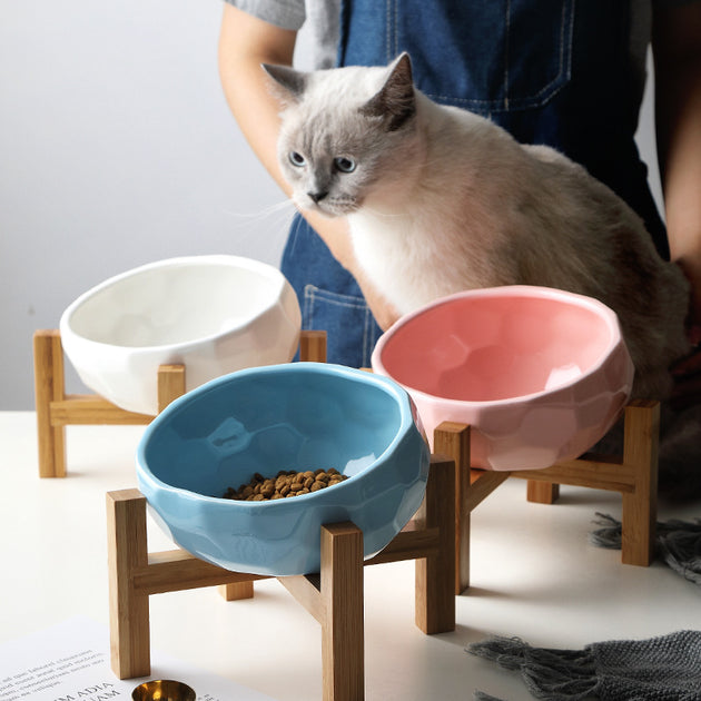 Pet bowl oblique mouth cat bowl food bowl dog bowl method bucket food bowl - Health and Wellness Innovations