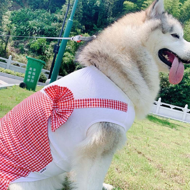 Dog Clothes Princess Dog Costume Labrador Golden Retriever Big Dog Clothes - Health and Wellness Innovations