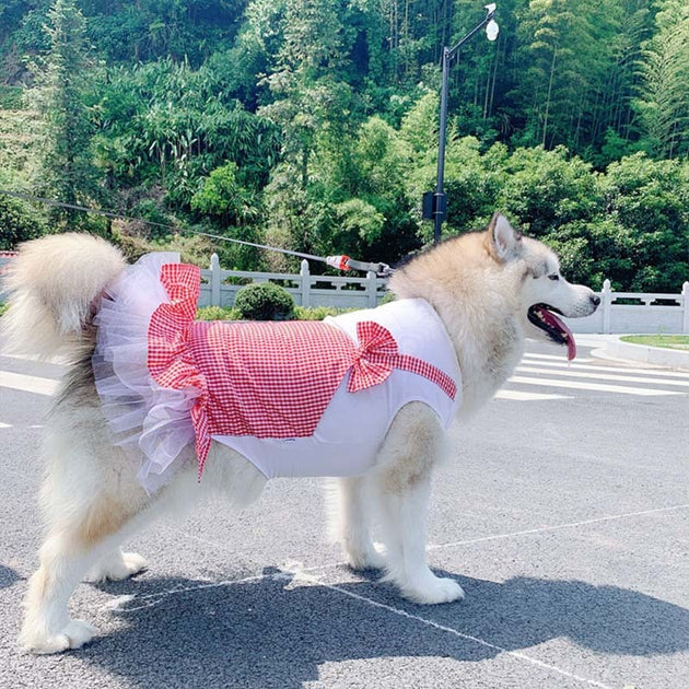 Dog Clothes Princess Dog Costume Labrador Golden Retriever Big Dog Clothes - Health and Wellness Innovations