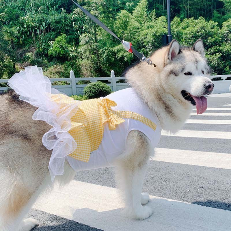 Dog Clothes Princess Dog Costume Labrador Golden Retriever Big Dog Clothes - Health and Wellness Innovations