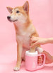 Pet Cat Dog Foot Clean Cup Cleaning Tool Silicone Washing Brush Paw Washer - Health and Wellness Innovations