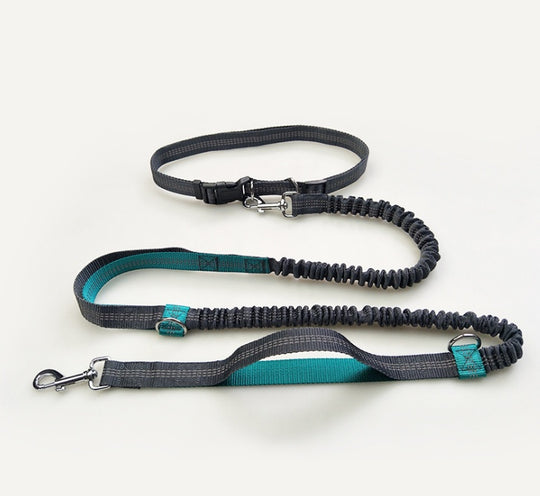 Amazon direct pet supplies multi-function running reflective pull dog leash double elastic dog leash traction - Health and Wellness Innovations