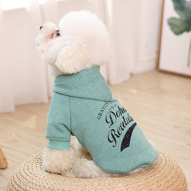 clothes for pets - Health and Wellness Innovations