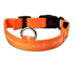 Nylon LED Pet Dog Luminous Collar Night Safety Flashing Glow in Dark Dog Cat Leash Adjustable Pet Supplies - Health and Wellness Innovations