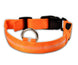 Nylon LED Pet Dog Luminous Collar Night Safety Flashing Glow in Dark Dog Cat Leash Adjustable Pet Supplies - Health and Wellness Innovations