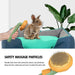 Pet Pumpkin Brush, Pet Grooming Self Cleaning Slicker Brush For Dogs Cats Puppy Rabbit, Cat Brush Grooming Gently Removes Loose Undercoat, Mats Tangled Hair Slicker Brush - Health and Wellness Innovations