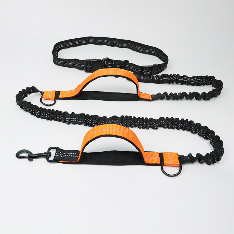 Amazon direct pet supplies multi-function running reflective pull dog leash double elastic dog leash traction - Health and Wellness Innovations