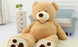 Giant Teddy Bear Plush Toy Huge  Soft Toys  Leather Shell - Health and Wellness Innovations