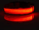 Nylon LED Pet Dog Luminous Collar Night Safety Flashing Glow in Dark Dog Cat Leash Adjustable Pet Supplies - Health and Wellness Innovations