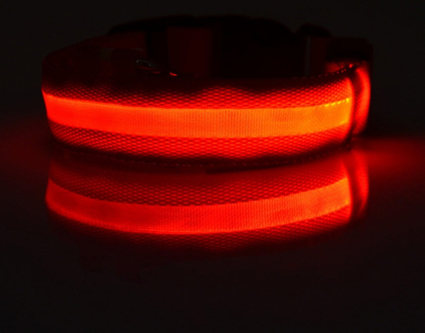 Nylon LED Pet Dog Luminous Collar Night Safety Flashing Glow in Dark Dog Cat Leash Adjustable Pet Supplies - Health and Wellness Innovations