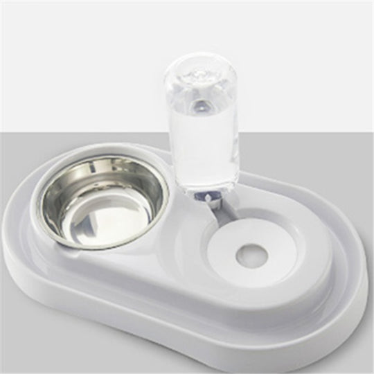 Dog bowl - Health and Wellness Innovations