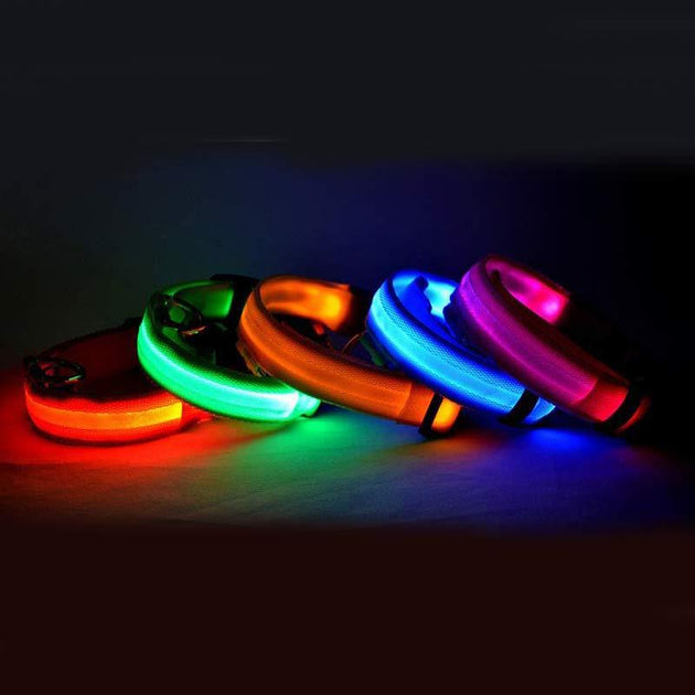 Nylon LED Pet Dog Luminous Collar Night Safety Flashing Glow in Dark Dog Cat Leash Adjustable Pet Supplies - Health and Wellness Innovations