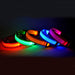 Nylon LED Pet Dog Luminous Collar Night Safety Flashing Glow in Dark Dog Cat Leash Adjustable Pet Supplies - Health and Wellness Innovations