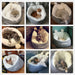 Pet Dog Bed Warming Soft Sleeping Bag Cushion Puppy Kennel - Health and Wellness Innovations