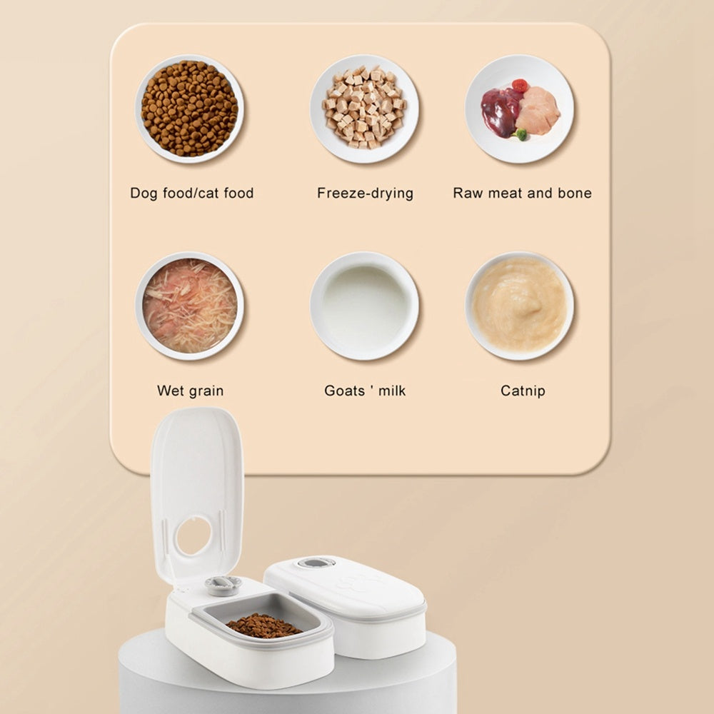 Automatic Pet Feeder Smart Food Dispenser For Cats Dogs Timer Stainless Steel Bowl Auto Dog Cat Pet Feeding Pets Supplies - Health and Wellness Innovations