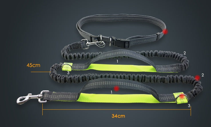 Amazon direct pet supplies multi-function running reflective pull dog leash double elastic dog leash traction - Health and Wellness Innovations