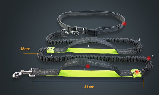 Amazon direct pet supplies multi-function running reflective pull dog leash double elastic dog leash traction - Health and Wellness Innovations