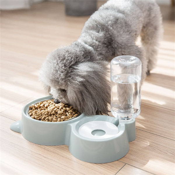 Dog bowl - Health and Wellness Innovations