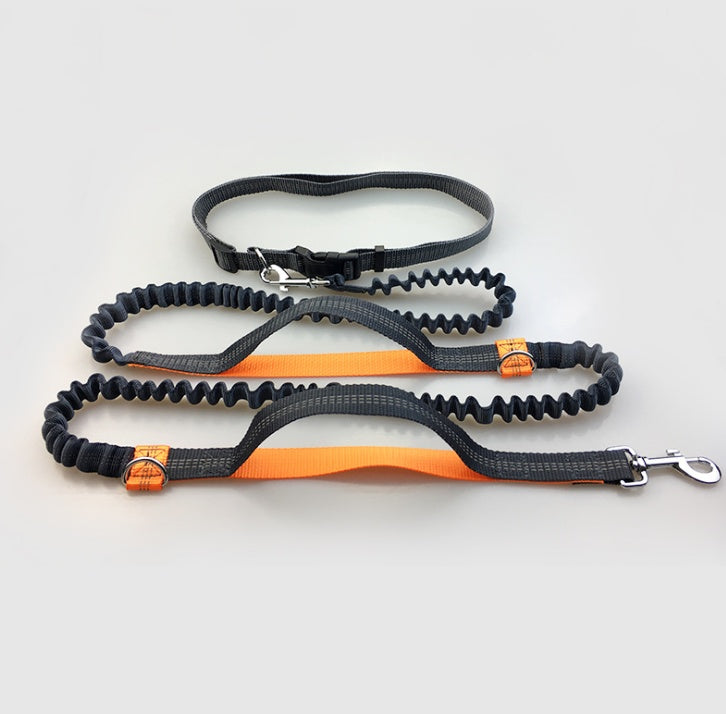 Amazon direct pet supplies multi-function running reflective pull dog leash double elastic dog leash traction - Health and Wellness Innovations
