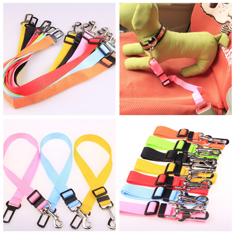 Fixed Strap Polyester Dog Strap Dog Leash Dog Leash - Health and Wellness Innovations