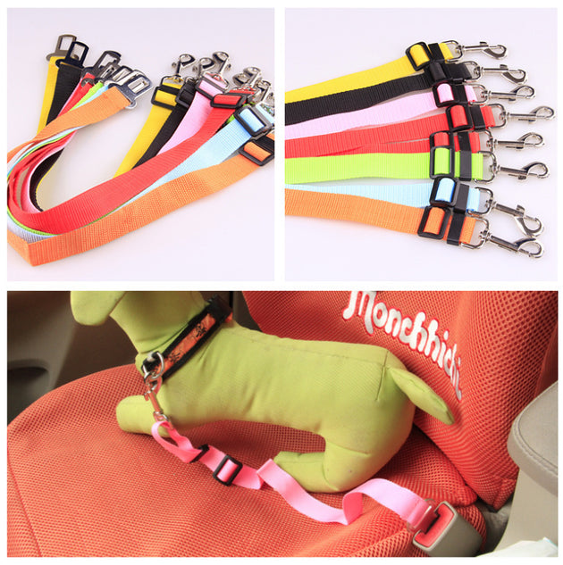 Fixed Strap Polyester Dog Strap Dog Leash Dog Leash - Health and Wellness Innovations