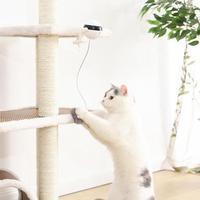 Pet Cat Toy Electronic Motion Cat Toy Interactive - Health and Wellness Innovations
