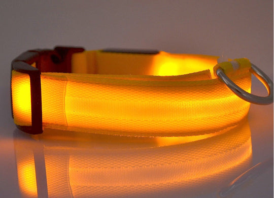 Nylon LED Pet Dog Luminous Collar Night Safety Flashing Glow in Dark Dog Cat Leash Adjustable Pet Supplies - Health and Wellness Innovations