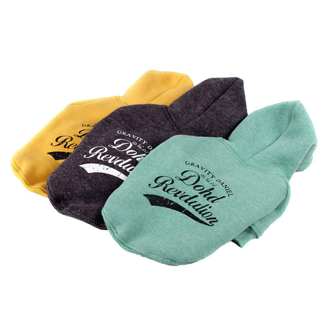 clothes for pets - Health and Wellness Innovations