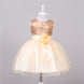 Baby Sequin Dress Flower Girl Wedding Princess Dress - Health and Wellness Innovations