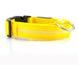 Nylon LED Pet Dog Luminous Collar Night Safety Flashing Glow in Dark Dog Cat Leash Adjustable Pet Supplies - Health and Wellness Innovations