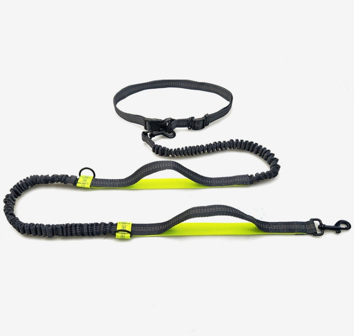 Amazon direct pet supplies multi-function running reflective pull dog leash double elastic dog leash traction - Health and Wellness Innovations