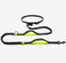 Amazon direct pet supplies multi-function running reflective pull dog leash double elastic dog leash traction - Health and Wellness Innovations