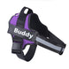 Personalized Dog Harness NO PULL Reflective Breathable Adjustable Pet Harness Vest For Small Large Dog Custom Patch Pet Supplies - Health and Wellness Innovations