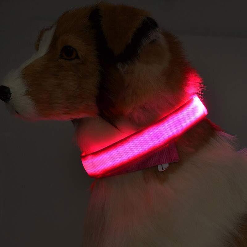 Nylon LED Pet Dog Luminous Collar Night Safety Flashing Glow in Dark Dog Cat Leash Adjustable Pet Supplies - Health and Wellness Innovations