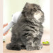 Pet Comb Self Cleaning Pets Hair Remover Brush For Dogs Grooming Tools Dematting Comb Built-in Mist Humidifier Pet Products - Health and Wellness Innovations