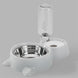 Dog bowl - Health and Wellness Innovations