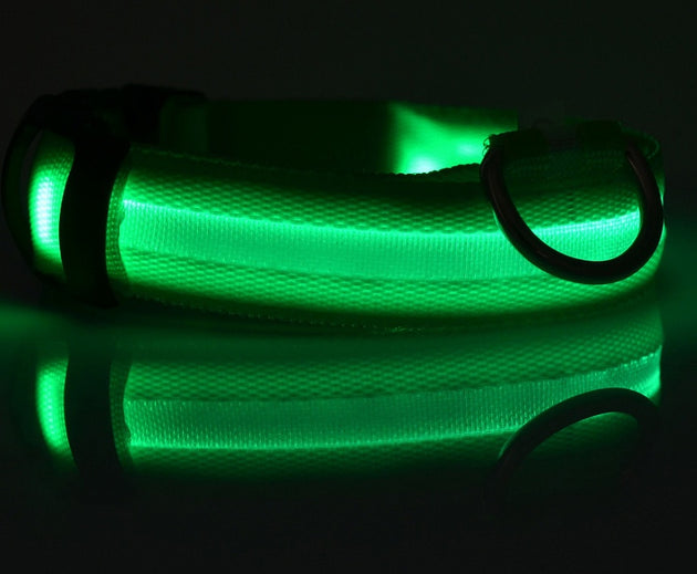 Nylon LED Pet Dog Luminous Collar Night Safety Flashing Glow in Dark Dog Cat Leash Adjustable Pet Supplies - Health and Wellness Innovations
